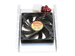 newegg