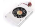 newegg