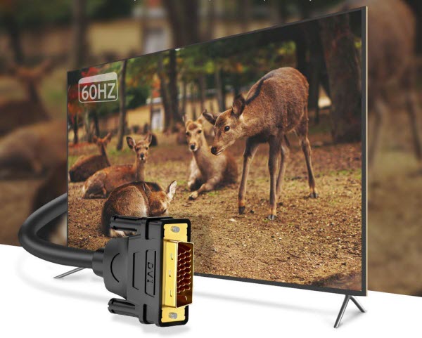 the cable and a TV showing a picture of deers