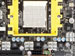 newegg
