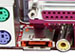newegg