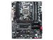 newegg