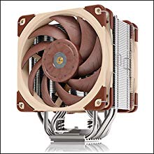 Noctua