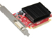 newegg