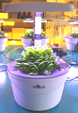 EcoPro LED Indoor Hydroponics Garden Kit (HP-2015L)