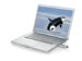 newegg