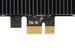 newegg
