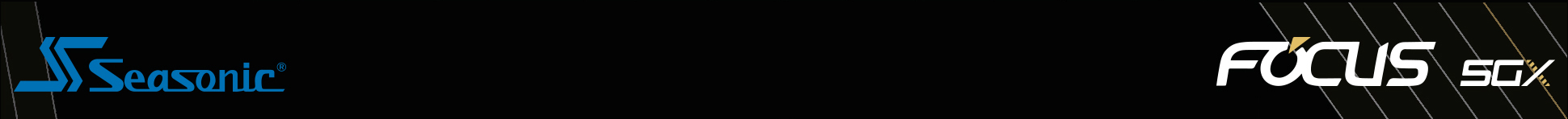Seasonic logo and Focus SGX icon