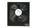 newegg