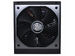 newegg