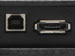 newegg