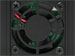 newegg