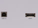newegg