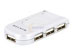newegg