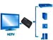 newegg