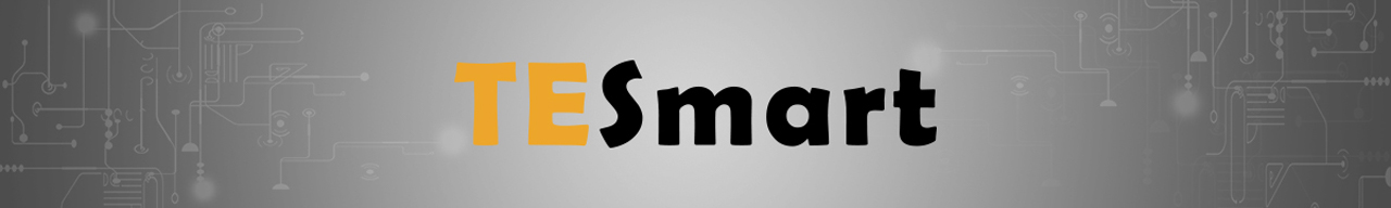 TESmart