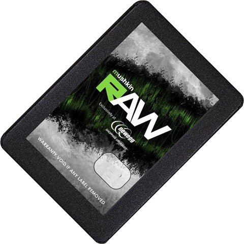 Mushkin Enhanced RAW Series SSD