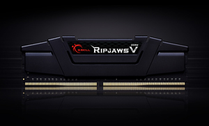 a black Ripjaws V series module