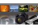 newegg