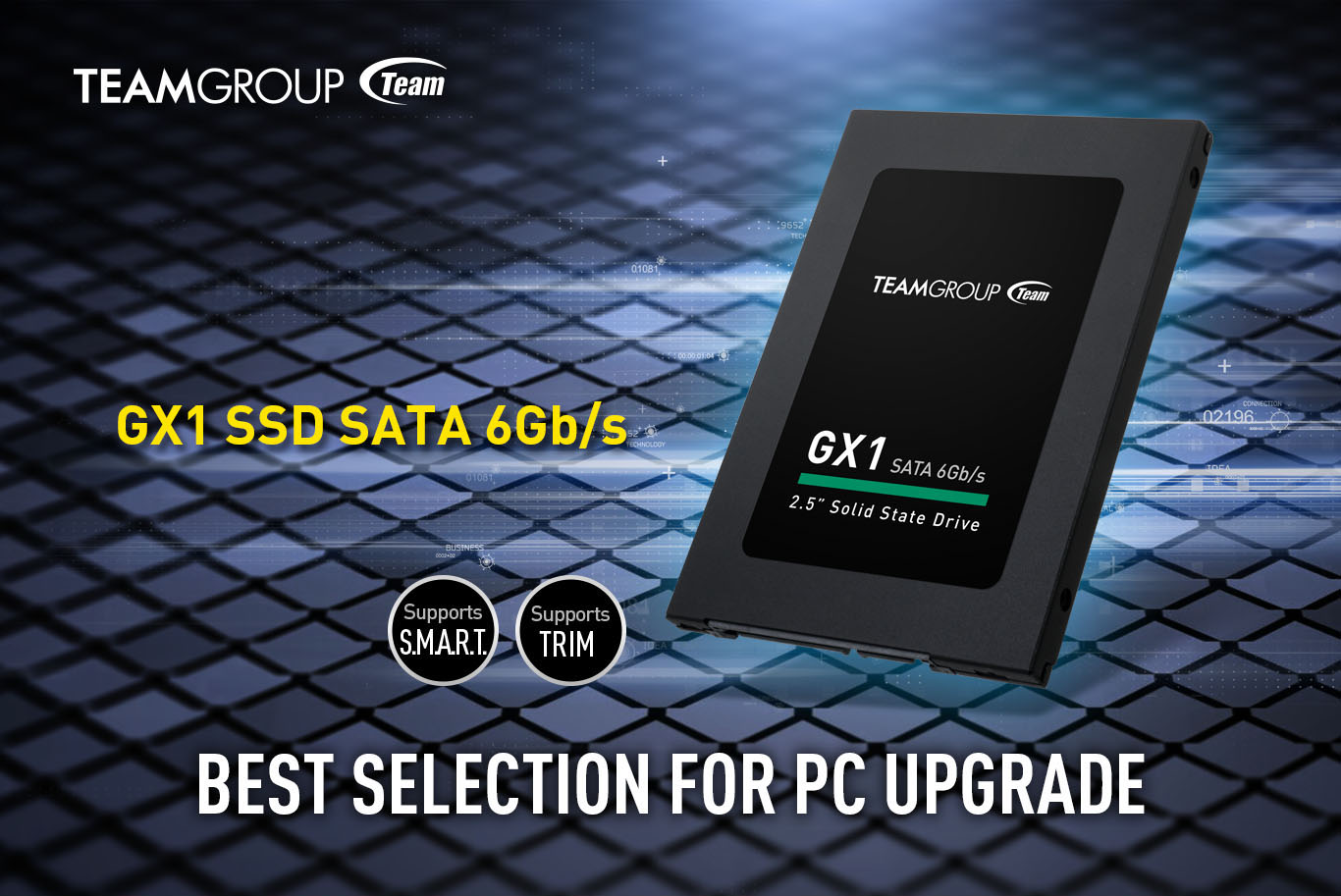 TEAMGROUP GX1 960GB 2.5 Inch SATA III Internal Solid State Drive SSD Read Speed up to 530 MB//s T253X1960G0C101