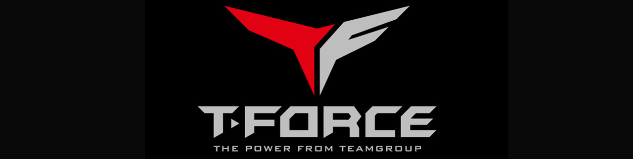 Team group T force logo