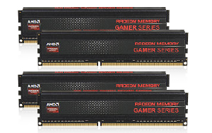 AMD Radeon™ RG2133 AG316G2130U1Q