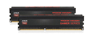 AMD Radeon™ RG2133 AG316G2130U2K