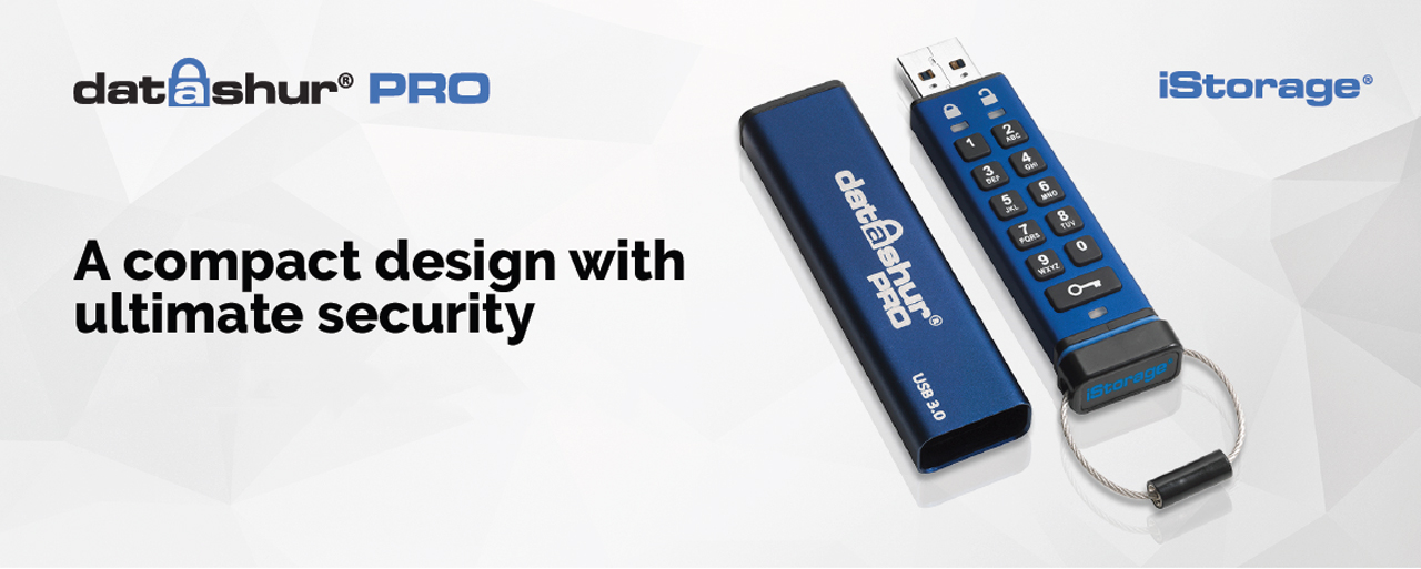 secure pen drive with password
