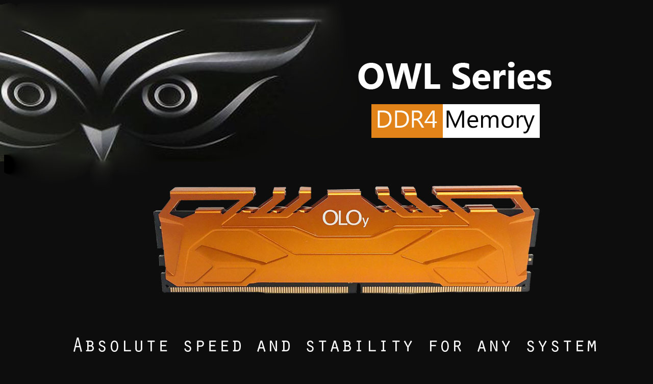 A OWL is above a memory module