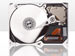 newegg