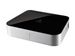 newegg