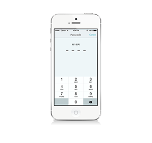 Passcode, a phone with privacy protection