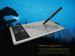 newegg