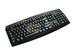 newegg