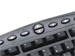 newegg