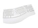 newegg