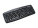 newegg