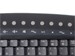 newegg