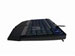newegg