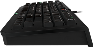 RAZER Keyboard
