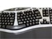 newegg