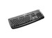 newegg