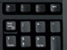 newegg