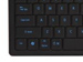 newegg