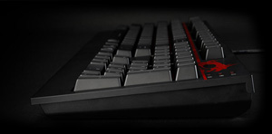 DS501