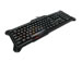 newegg