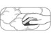 newegg