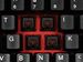 newegg
