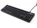 newegg