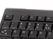 newegg